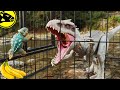 Banananus Rex & Bumpy | Jurassic World Short Film Indominus Rex Toys Kids Mattel Camp Cretaceous