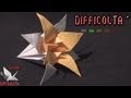Origami Hobby (page 1). YouTube Bird Video Tutorials
