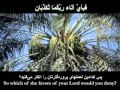 SURAH RAHMAN (with Eng & Persian Translation) by QARI SADAQAT ALI HEART TREMBLING RECITATION Part 2