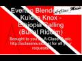 Everton Blender and Kulcha Knox Ethiopia Calling (Burial Riddim)