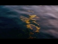 Liquid Gold on Water