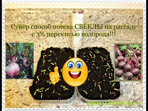 Чем стригут собак в домашних условиях Чем стригут собак в домашних условиях