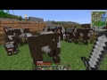 Minecraft: MO Creatures Lets Play | TAMING A ZEBRA | Ep. 25