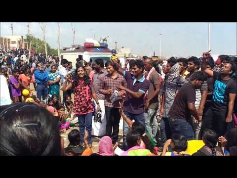 JALLIKATTU 2017 JALLIKATTU 2017 #1