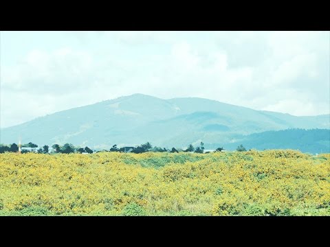 Last day in Đà Lạt - Tạm Biệt - Đà Lạt Vlog 09