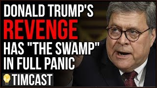 Donald Trump Is WINNING His Fight With "The Swamp" And Putting DC Elites In Full On Panic Mode