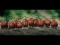 Minuscule: Valley of the Lost Ants (2013) Online Movie