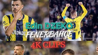 Edin Dzeko 4K Fenerbhaçe Clips