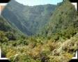JIJEL mon amour ALGERIE pour toujours