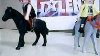 Bgt Whbs