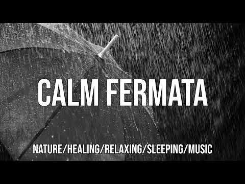 우산위로 내리는 부드러운 빗소리 ASMR 8시간 - 깊은수면, 백색소음, 자장가 soft rain sound on umbrella Deep sleep, lullaby