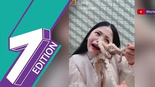 Woman Tries To Eat Live Octopus, Gets Face Nearly Ripped Off