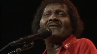 Watch Albert Collins Black Cat Bone video