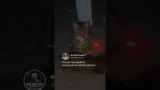 Duygusal Durum Videoları İnstagram Story Hikaye Reels Whatsapp Durum Videoları Duygusal Videolar