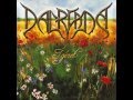 Dalriada - Mennyei harang