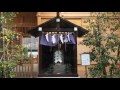 松戸神社---千葉県松戸市