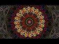 The Splendor of Color Kaleidoscope Video v1.1 1080p
