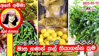 Food storing for months by Apé Amma