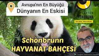 Avusturya Ve Dünyanın En Eski Hayvanat Bahçesi Schönbrunn Viyanadaki Unesco Dünya Mirası
