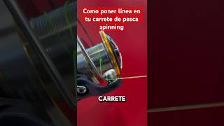 Como Poner Línea En Tu Carrete De Pesca Spinning