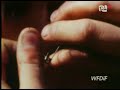 Idzie wariat ulicą - Rejestracja (Jarocin 1982)