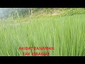 Nissa Sabyan -(Oficial Music Video ) Lagu Sholawat Nabi Merdu 20.....