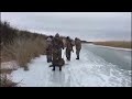 Карой охота на кабана с лайкой и ягдтерьером