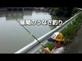 昼間のうなぎ釣り