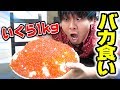 【大食い】いくら1kgで超巨大いくら丼作ってみた!これぞ男の夢!!!