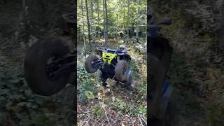 Polaris But Not Sportsman