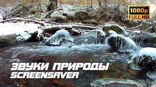 Живая Природа - Река | Звуки Природы | Звуки Реки | Шум Воды | Релаксация | Антистресс | Заставка Тв