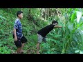 Mbakar Jagung - Film Pendek Gunungkidul