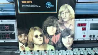 Watch Cats I Like The Way video