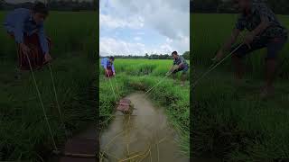 No Machines, Just Hard Work Village Irrigation