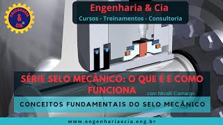 Selo Mecânico - Série o que é e Como Funciona | Por Micelli Camargo