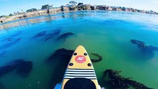 KAP7 Premium SUP Paddle Board