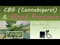 CBG  (Cannabigerol) and Blood Pressure