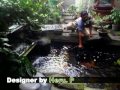 Jasa Pembuatan Kolam Koi images Jasa Pembuatan Kolam Koi