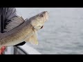 Tony Roach Fishing Report - May 2014