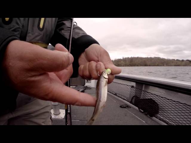 Tony Roach Fishing Report - May 2014
