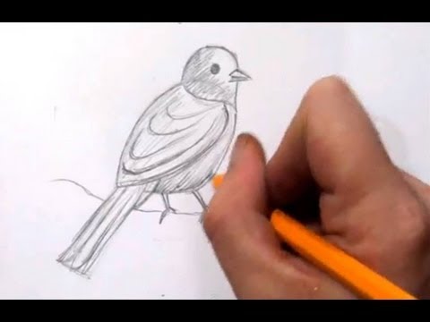 Фото птичек нарисовать Фото птичек нарисовать