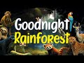 Goodnight Rainforest | Relaxing Rain Sounds | Bedtime Story for Babies and Toddlers 🦜