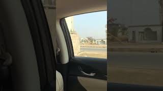 Hamza 3135. Dha. P 6