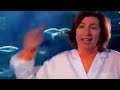 Gruesome Medicine Ancient Discoveries National Geographic Full Doentary images Gruesome Medicine Ancient Discoveries National Geographic Full Doentary