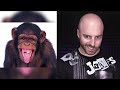 10 CRAZIEST Conspiracy Theories People Actually Believe!