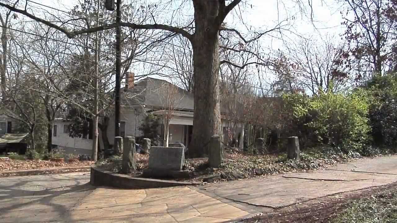 The Famous Oak Tree In Athens That Owns Itself YouTube