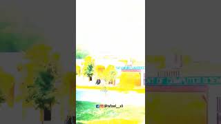 Government Graduate College Sheikhupura Gcbskp Part 2