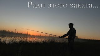 Хариус На Воблер.самый Крупный Карась На Удочку.овода Готовы Съесть Живьем!