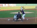 Charleston riverdogs