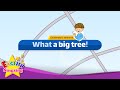 [Exclamatory sentence] What a big tree? - Easy Dialogue - Role Play